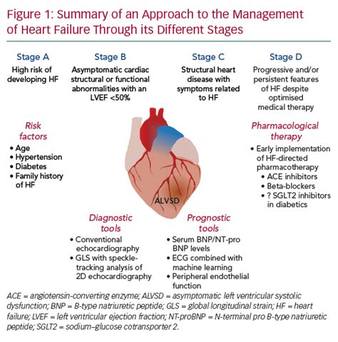 left ventricular failure treatment management